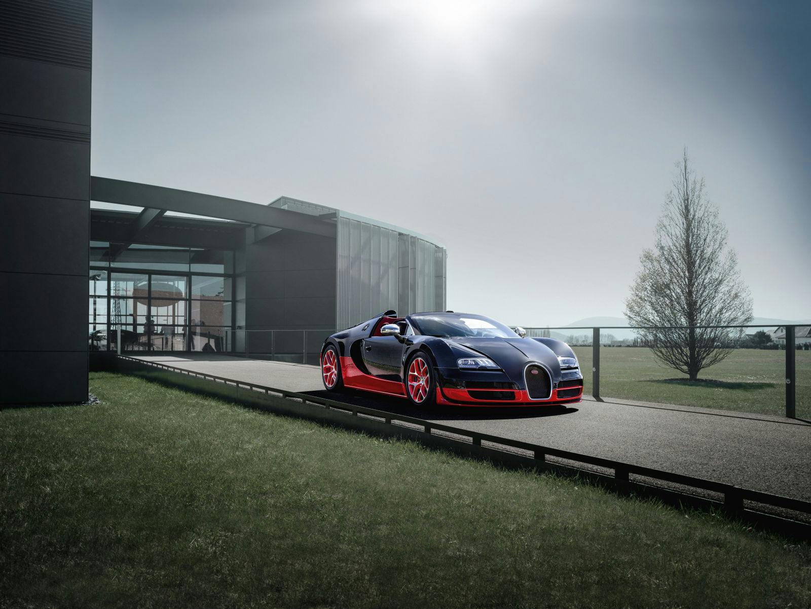 3_bugatti-veyron-16-4-grand-sport-vitesse.jpg